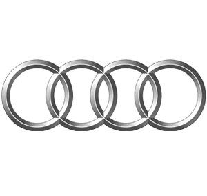 Тонування Audi