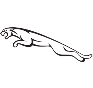 Тонування Jaguar